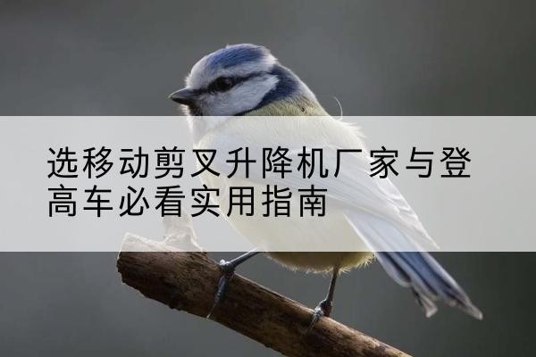 武宣电动升降机厂家-选移动剪叉升降机厂家与登高车必看实用指南