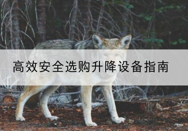 武宣升降货梯厂家推荐-*安全选购升降设备指南