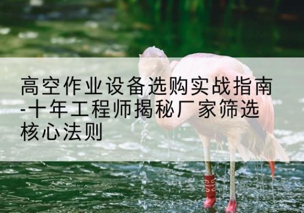 武宣剪叉式升降机厂家-高空作业设备选购实战指南-十年工程师揭秘厂家筛选核心法则