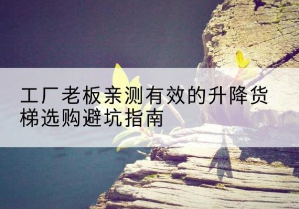 武宣升降货梯怎么选-工厂老板亲测有效的升降货梯选购避坑指南